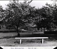 Photo only available in the library